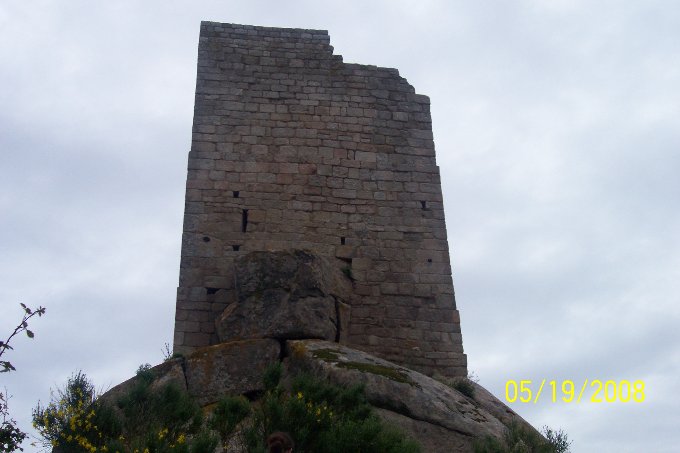100_1009.jpg