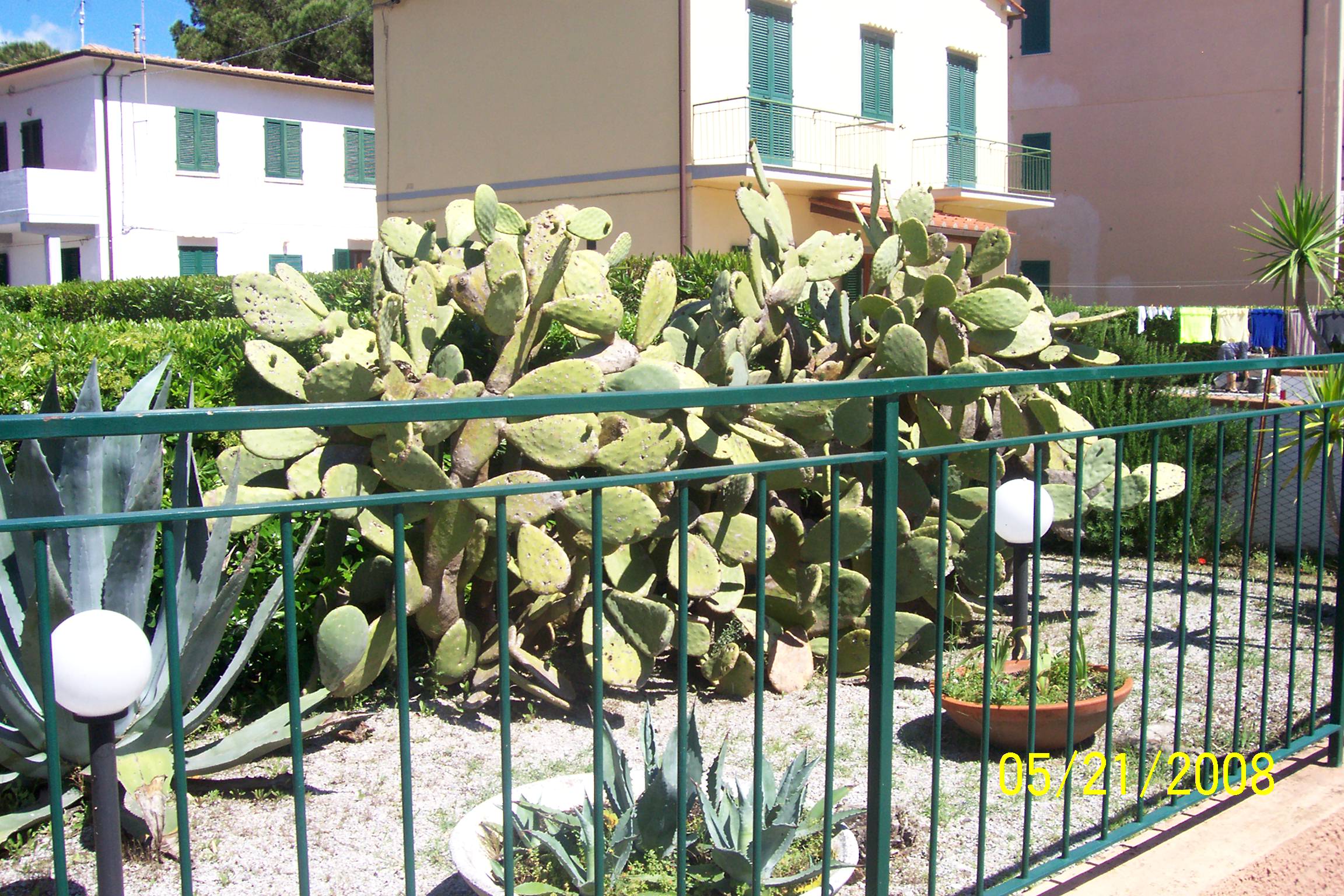 100_1029.jpg